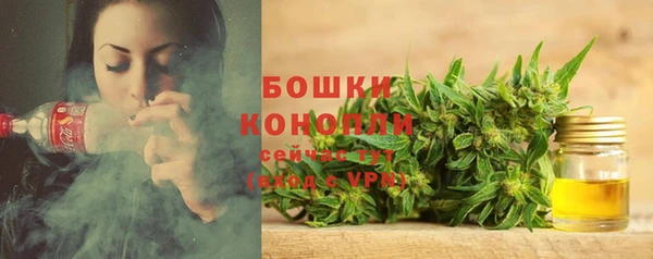 мяу мяу мука Беломорск
